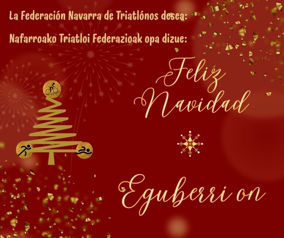 Felices Fiestas!!!!